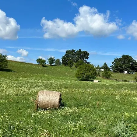 House Casa vacanze Borowe